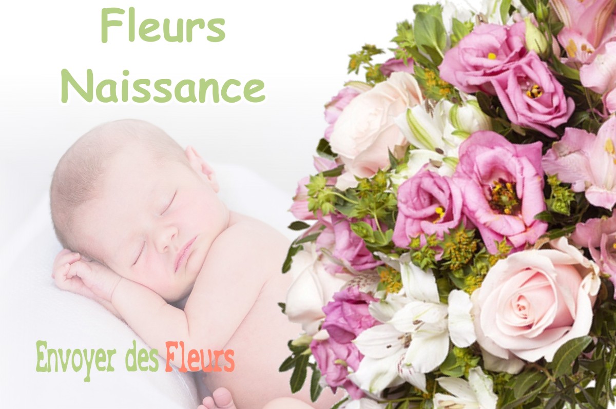 lIVRAISON FLEURS NAISSANCE à PHILONDENX